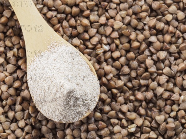 Buckwheat flour in wooden spoon and buckwheat grains. Whole-grain buckwheat flour on buckwheat