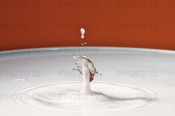 A drop hits a white liquid and creates a splashing movement, water droplets, collision, high-speed