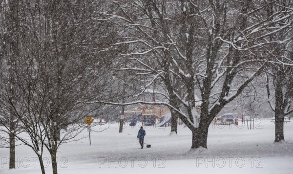 Heavy snow squalls of lake-effect snow falls over Springbank Park in London, Canada. Environment