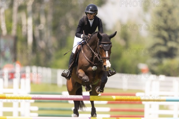 Amy Millar of Canada and riding Jagger HX, compete in the 1.60m Grand Prix during The Continental