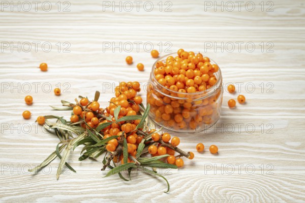 Sea buckthorn ripe berries in glass jar and branches with leaves top view on white wooden rustic