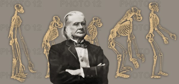 Portrait of Thomas Henry Huxley, 1825 – 1895, English biologist and anthropologist, specialized in