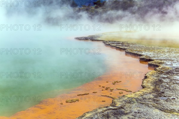 Thermal Wonderland of hot waters is Wai - O - Tapu. New Zealand, North Island. Picturesque lake of