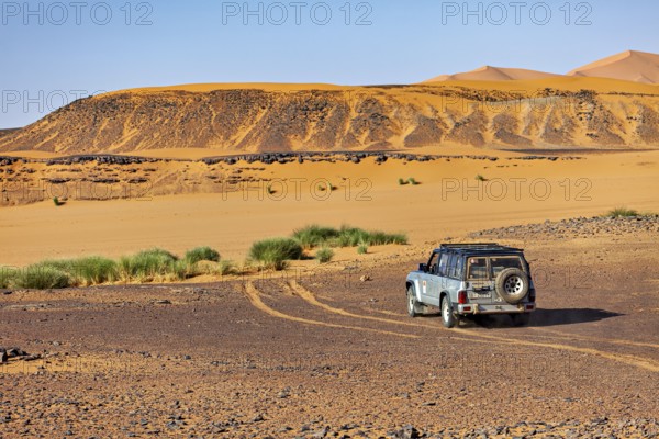 An off-road vehicle drives on unpaved lanes in a desert landscape with low vegetation, Off-road