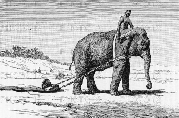 Dr Paul Neis undertook a scientific mission to Cochinchina and Laos on behalf of the French