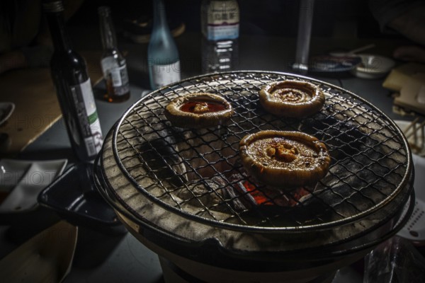 Charcoal-grilled of the image in charcoal stove. Shooting Location: Yokohama-city kanagawa