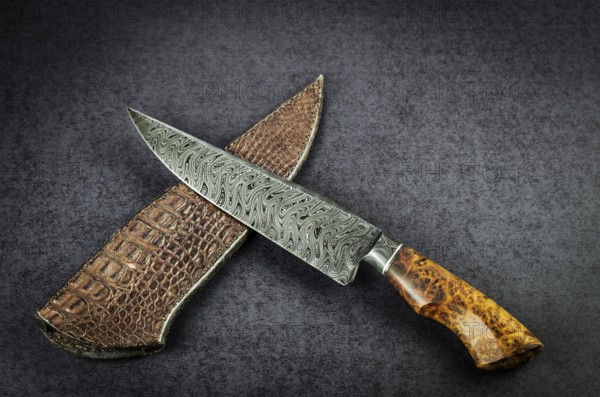 Beautiful luxurious utility knife in Texas Wind damask pattern with noble wood handle on dark