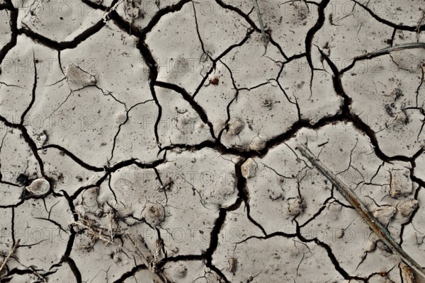 An Abstract background Texture Of Dry Cracked Earth In A Drought