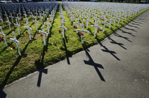 A field of crosses represents those who died in the Great War for a memorial on Anzac Day in