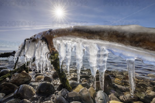 Strong sun shining over icicles hanging from a branch over stones, harbour, Gohren, Lake Constance,