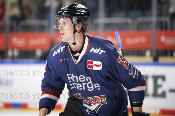 Laura Dick Cologne, LanxessArena, North Rhine-Westphalia, Louis- Marc Aubry (Cologne Sharks, #15),