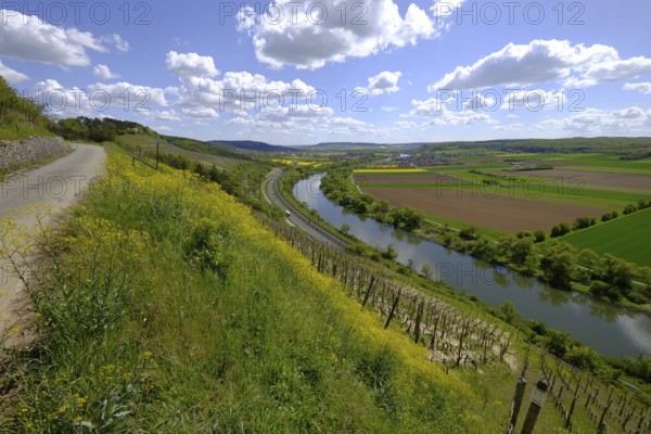 Landscape and vineyards near Stetten with a view of the Main valley, Main-Spessart district, Lower