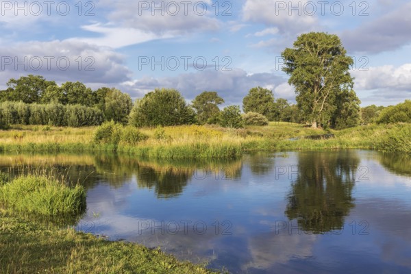 Trave river near Bad Oldesloe in Schleswig-Holstein, Germany, with reflection of the sky and the
