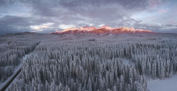 Snow covered winter forest landscape aerial view with pines and mountains in the background. Cold
