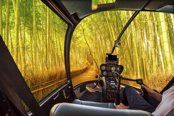 Helicopter cockpit inside the cabin flying in surreal bamboo grove at Sagano in Arashiyama, sunlit.