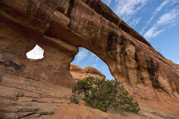 Great view on the Partition Arch in the Arches National Park, USA, North America