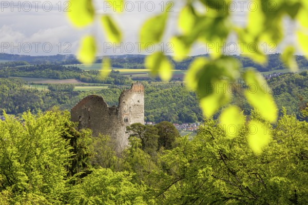 Ruined castle embedded in lush green vegetation under a cloudy sky, Altbodman castle ruins, Bodman,
