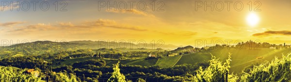 Sunny panorama of grape hills on Vineyards in south Austria. Vivid contrast high resolution