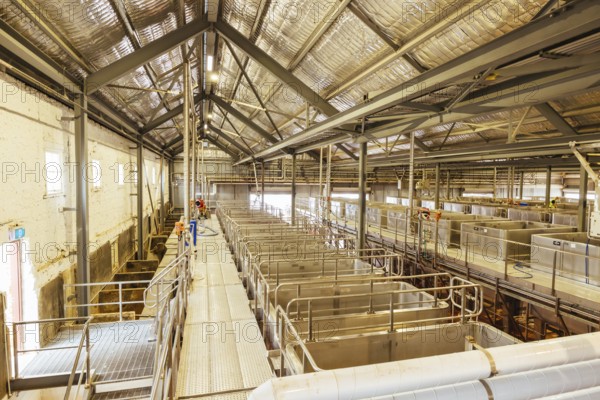MCLAREN VALE, AUSTRALIA, April 13 2023: Hardys vineyard and wine production in the iconic wine