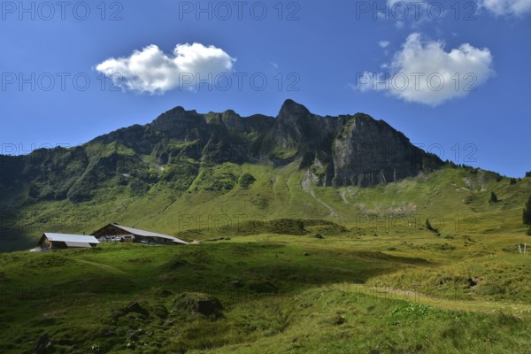 Bregenzerwald, Vorarlberg, Austria, Oberealpe with Klippern, Austria, Oberealpe with Klippern,