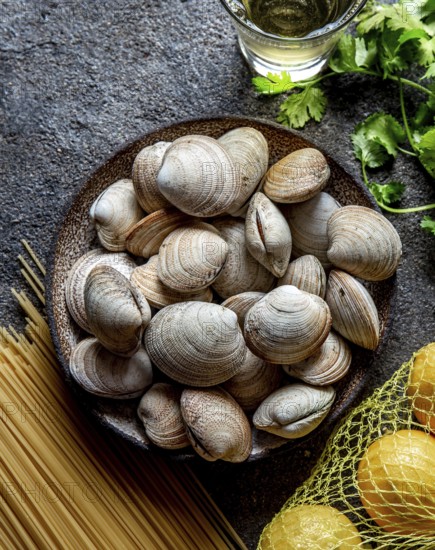 Food, Food, Ingredients for preparation spaghetti with clams, raw fresh clams, spaghetti coriander,
