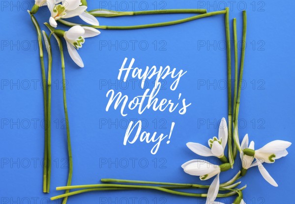 Happy Mothers Day lettering greeting card. Spring flowers snowdrop. Best mom ever. Beautiful tender