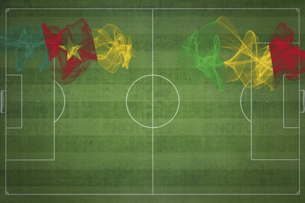 Cameroon vs Mali Soccer Match, national colors, national flags, soccer field, football game,