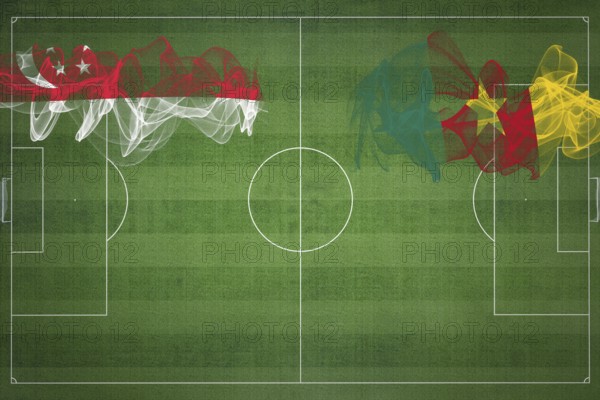 Singapore vs Cameroon Soccer Match, national colors, national flags, soccer field, football game,