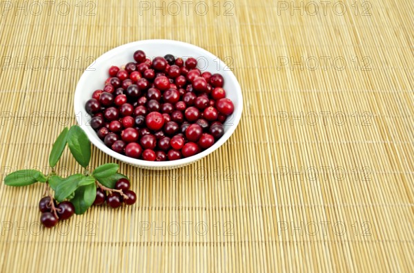 Cranberry in a white porcelain bowl, two branches with berries and green leaves on a bamboo mat