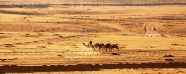 Jordan, Wadi Rum, November 2, 2022: Caravan of camels with drovers in the desert, rock mountains at