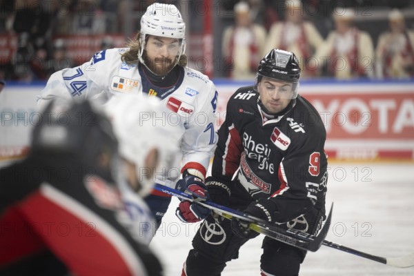 LanxessArena, Cologne, North Rhine-Westphalia, Maximilian Kammerer (Cologne Sharks, #9), Ryan