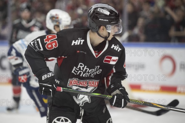 Cologne, LanxessArena, North Rhine-Westphalia, Kevin Niedenz (Cologne Sharks, #46), PENNY DEL,