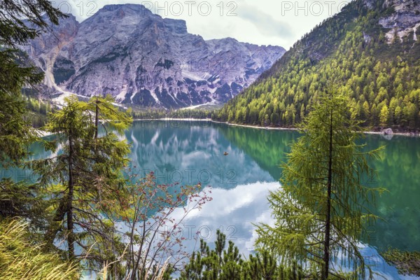 Stroll around the beautiful alpine lake Lago di Braies. The concept of walking and eco-tourism.