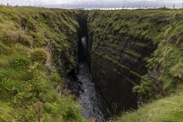 The Gloup, collapsed cave with small waterfall, Mull Head Local Nature Reserve, seaside nature