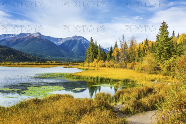 Lake Vermillon among the yellow fall grass and foliage of birches. Travel to autumn. Grandiose