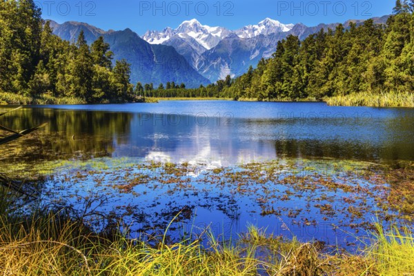 Mirror glacial Lake Matheson surrounded by mountains Mount Cook and Mount Tasman and forests.