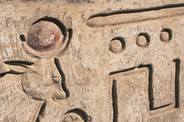 Immerse yourself in the world of ancient Egypt with this image, showcasing intricate bull designs