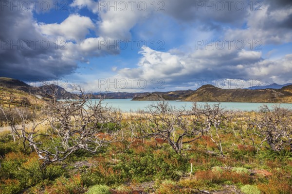 Strong winds of Patagonia. Chile, Patagonia, Torres del Paine National Park - Biosphere Reserve.