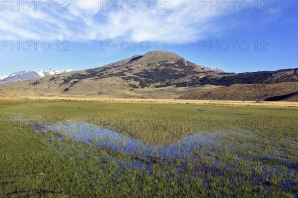 Spacious Valley National Park Perito Moreno. The central part of the valley - is a water meadow.