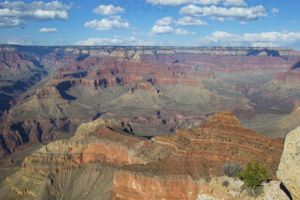 Grand Canyon, South Rim, Garnd Canyon National Park, Nevada, USA, United States of America, North