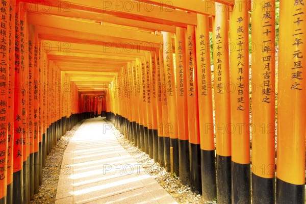 KYOTO, JAPAN, JUNE 15, 2015: Japanese text written on colorful red torii gates supports repeating