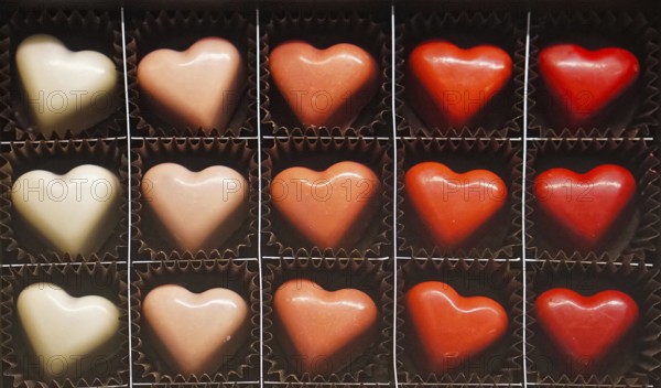Heart shape chocolate pralines in the box