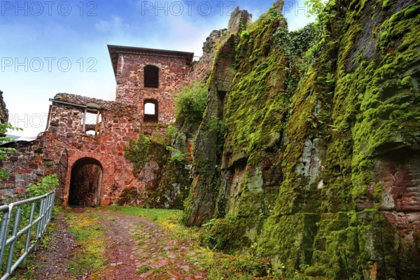 Burg Hohnstein ruins in Harz Neustadt of Germany