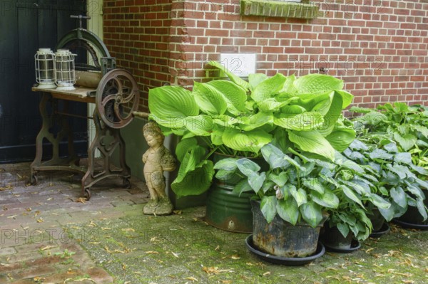 An arrangement of plants in pots in front of a brick wall with antique elements, Aalten,