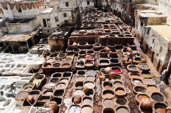 Workers, Chouwara tanners' and dyers' quarter in Fes El Bali, Medina, UNESCO World Heritage Site,