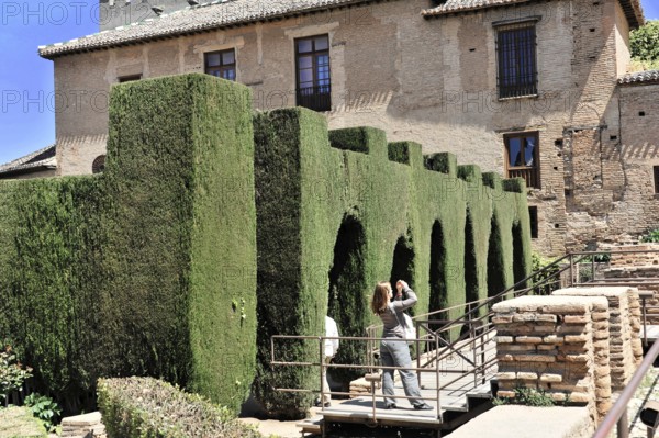 Alhambra, Granada, Andalusia, Spain, People taking pictures during a walk in front of cypresses,