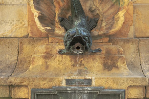 The Alte Angerbrunnen fountain in Erfurt provides drinking water. It is located in the western part