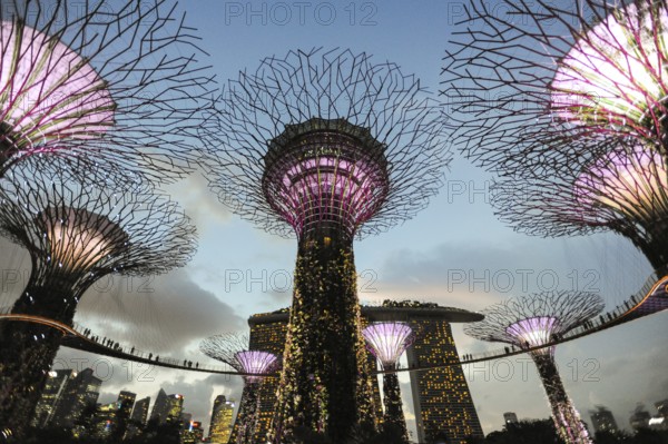 03.06.2015, Singapore, Republic of Singapore, Asia, Evening light show in the park area of the