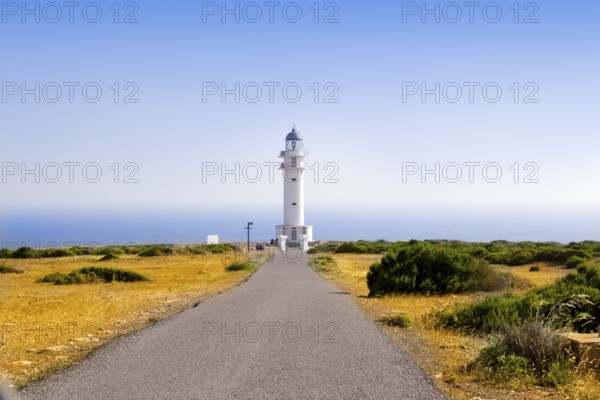 Barbaria Lighthouse cape Formentera Balearic Islands in golden grass meadow blue sky