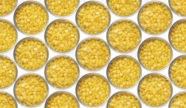 Seamless food background of flat lay view of opened tin cans with sweet corns isolated on white